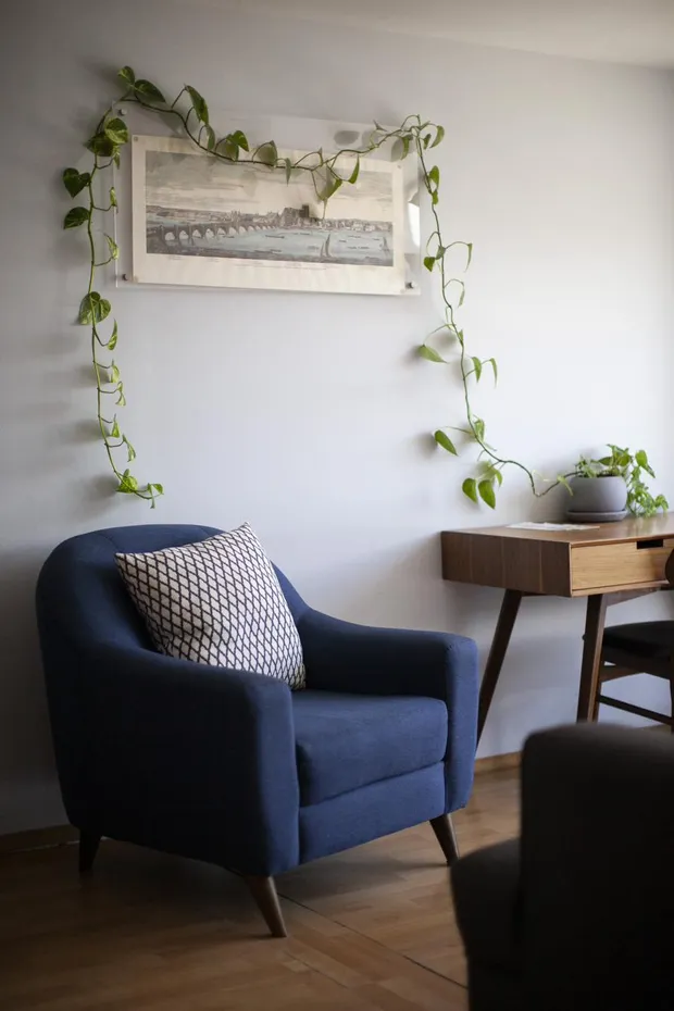 Consultorio de Clínica Broa con sillón azul y un grabado enmarcado entre plantas