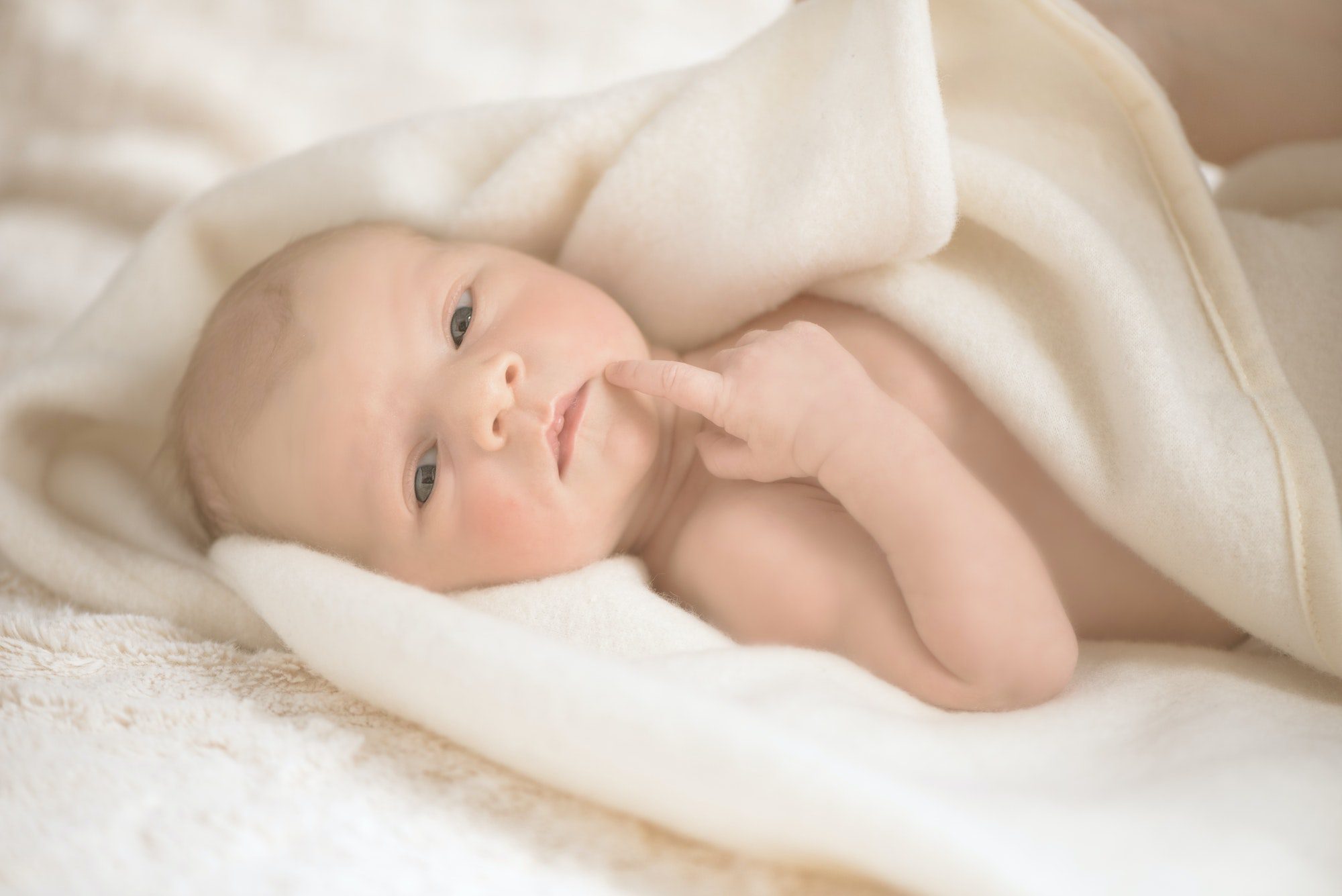 Newborn little boy. Baby in wrap creamy blanket. 13 days old. Copy space for your text. Maternity