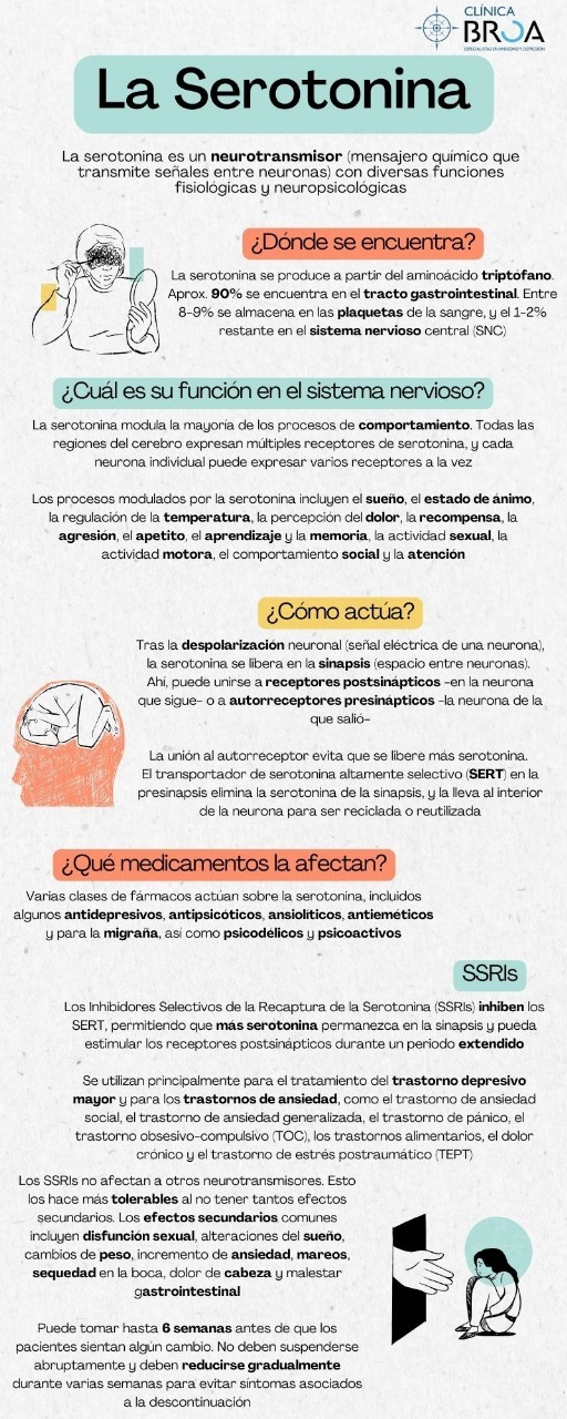 Serotonina infografía