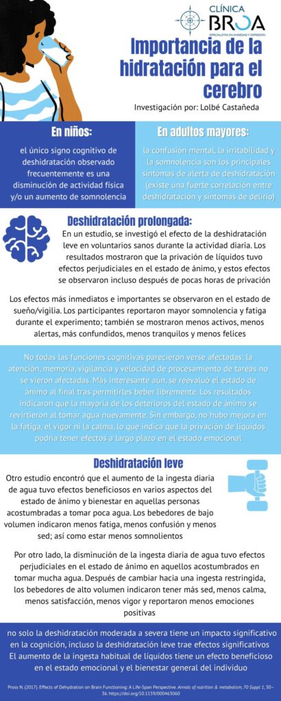 Importancia de la hidratación en el cerebro 1 Importancia de la hidratacion para el cerebro